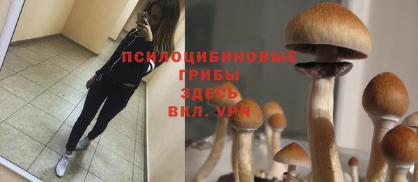 метадон Алзамай