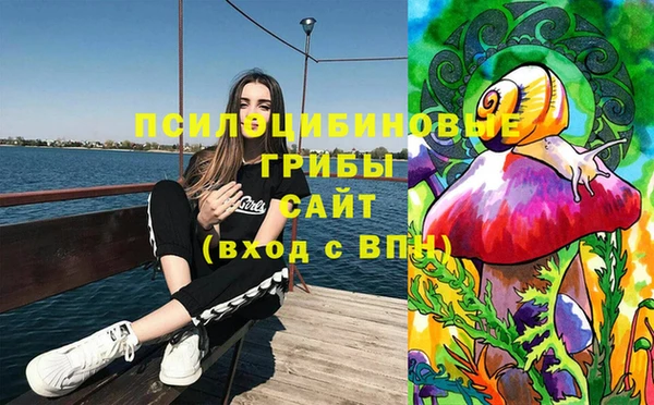 не бодяженный Алексин