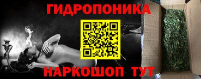 бошки Гусев