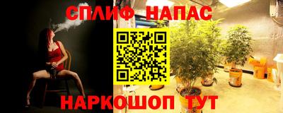 марихуана Гусиноозёрск