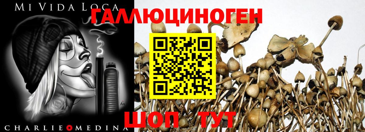 Псилоцибиновые грибы Magic Shrooms  Вход с VPN  Рыбинск  Псилоцибиновые грибы мицелий 